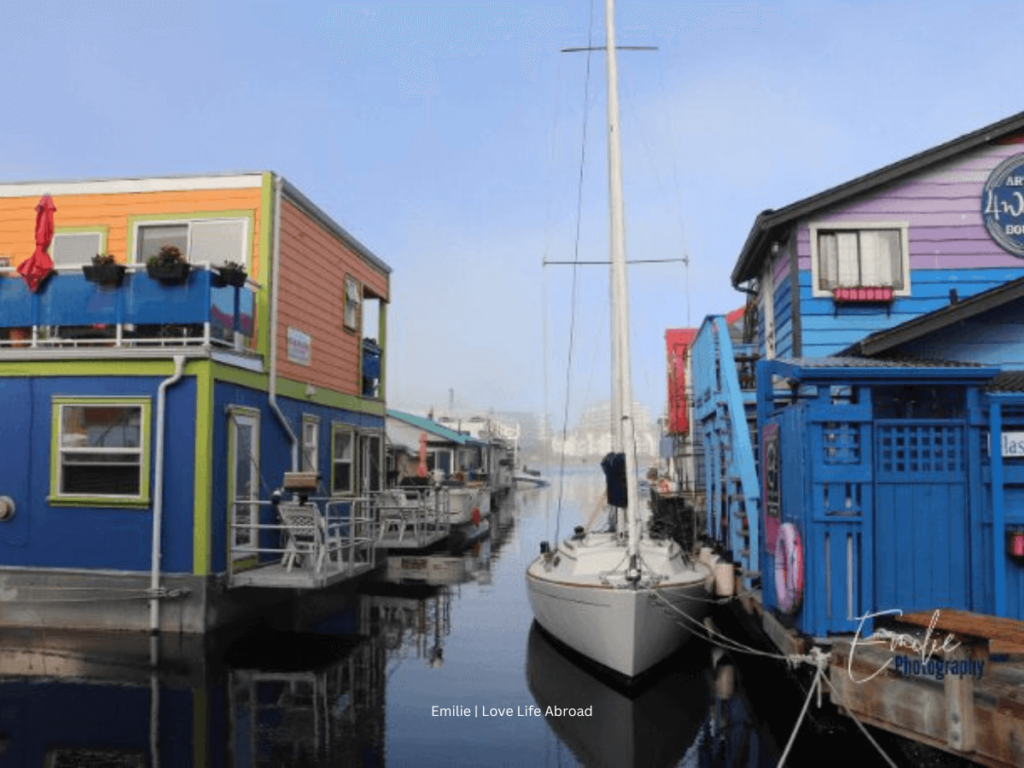 The Fisherman Wharf in Victoria BC is not as big as other whaft but it's so colorful and you can see harbour seals.