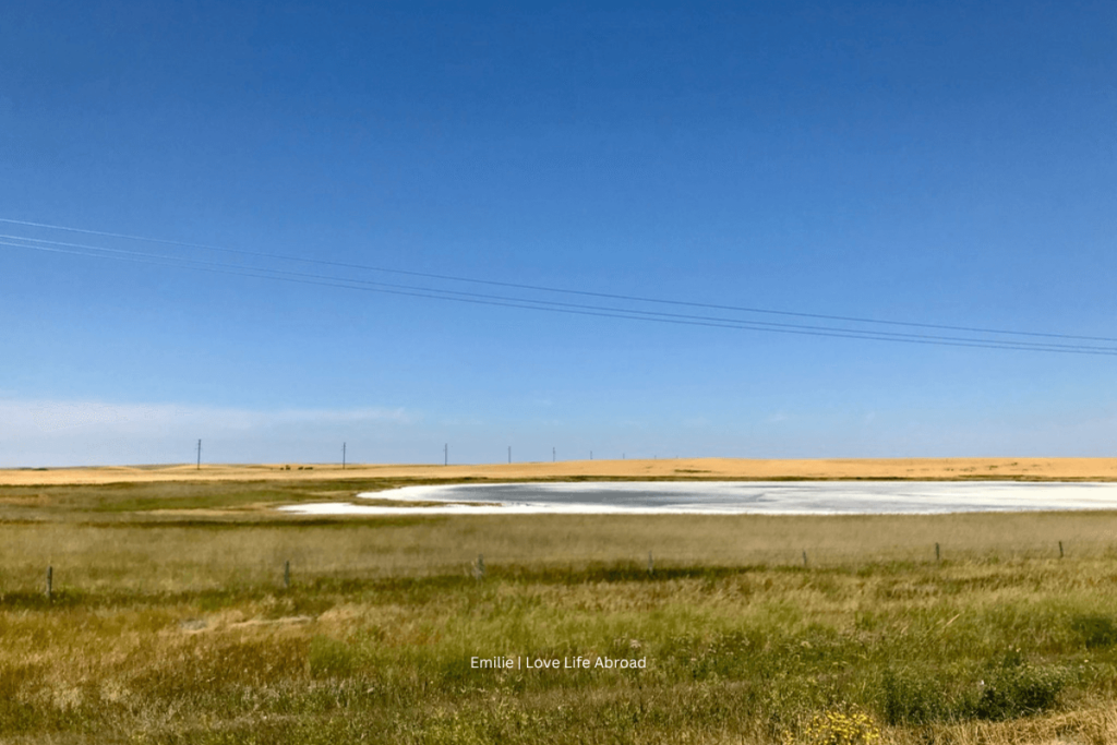 Saskatchewan has a lot of salt lakes. It looks like snow from afar
