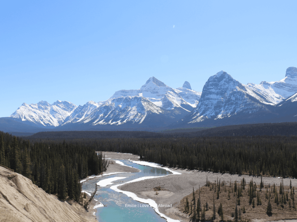 Goats and Glaciers on the Icefields Parkway 