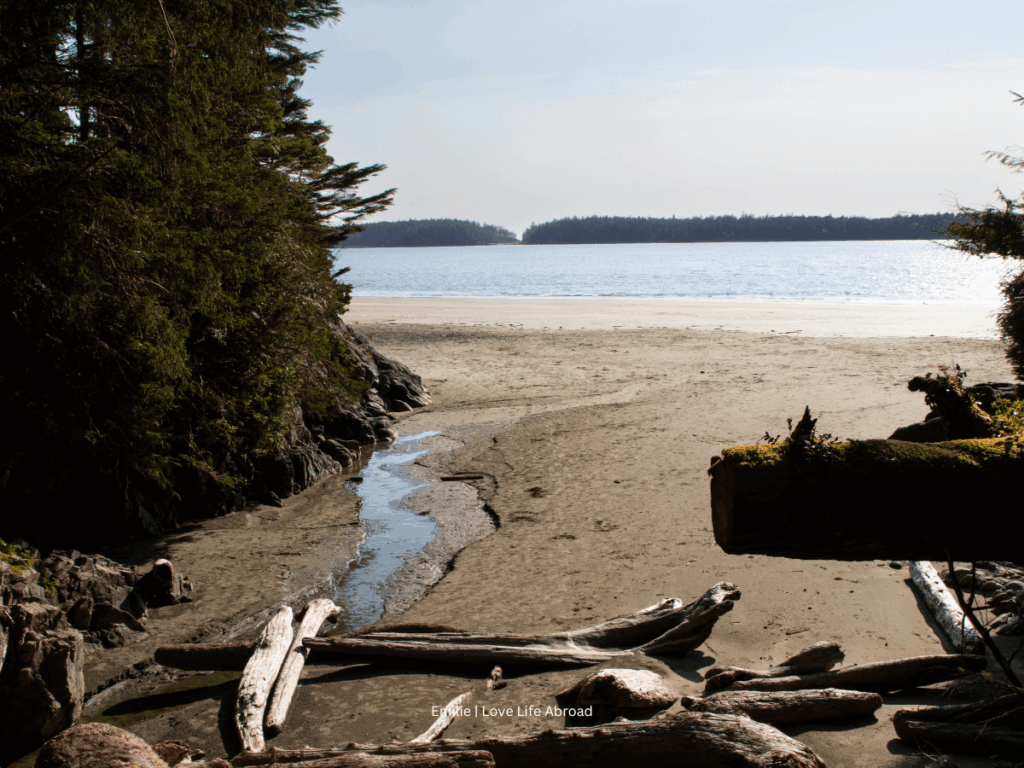 Tonquin Trail just outside downtown Tofino