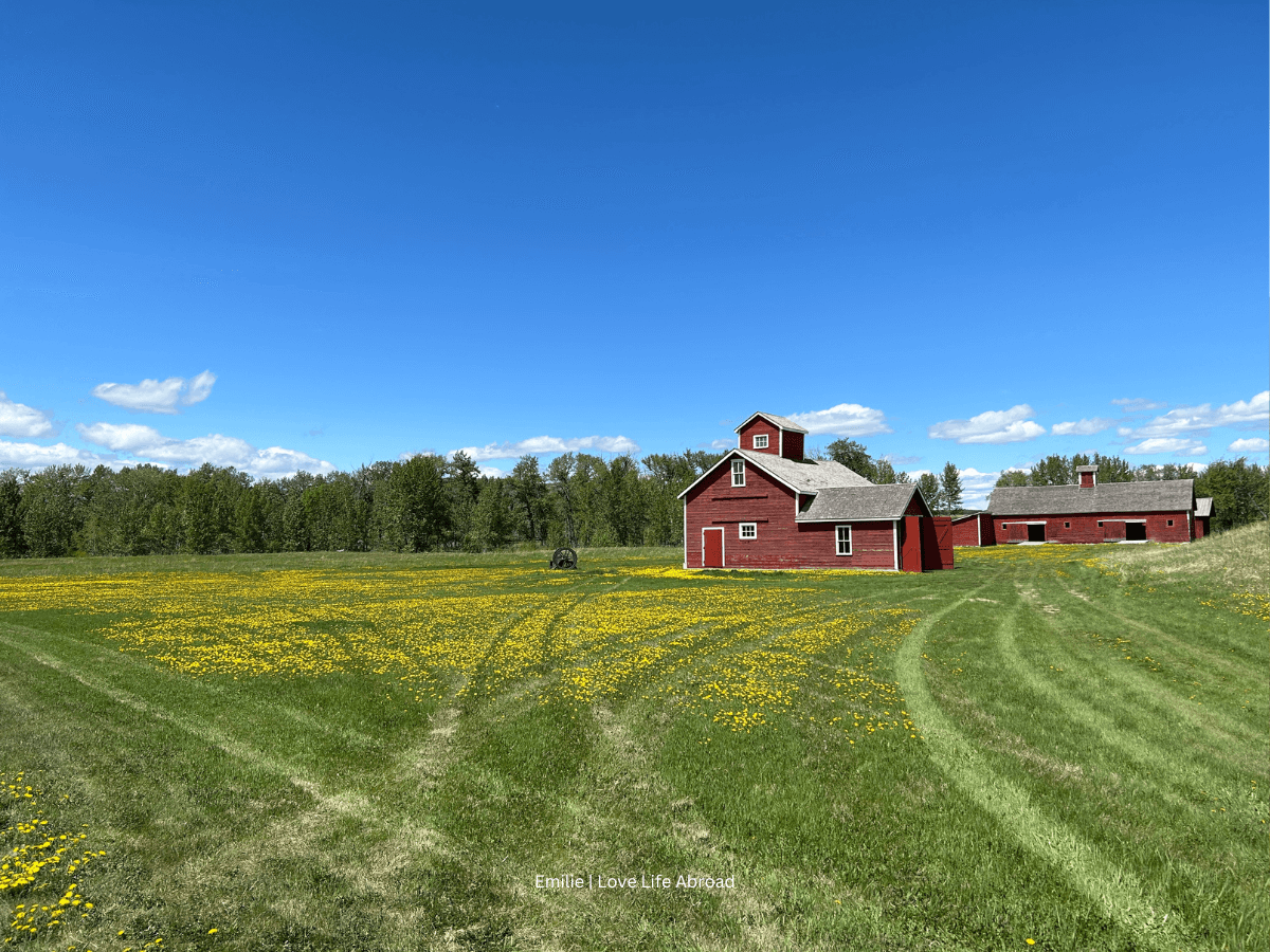 25+ Day Trips from Calgary Your Family is Missing Out On