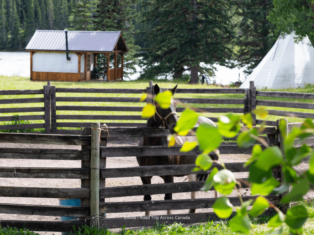Old Entrance Ranch is a great place to stay overnight if you want to try horseback riding