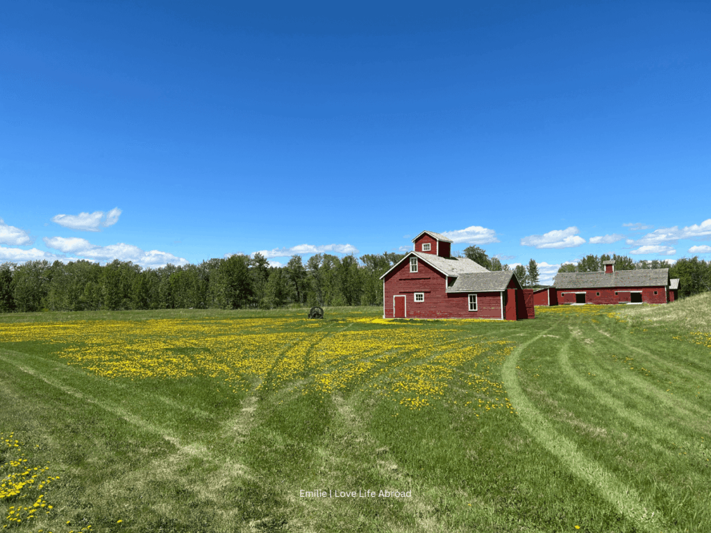 Le Bar U Ranch, sur le Cowboy Trail