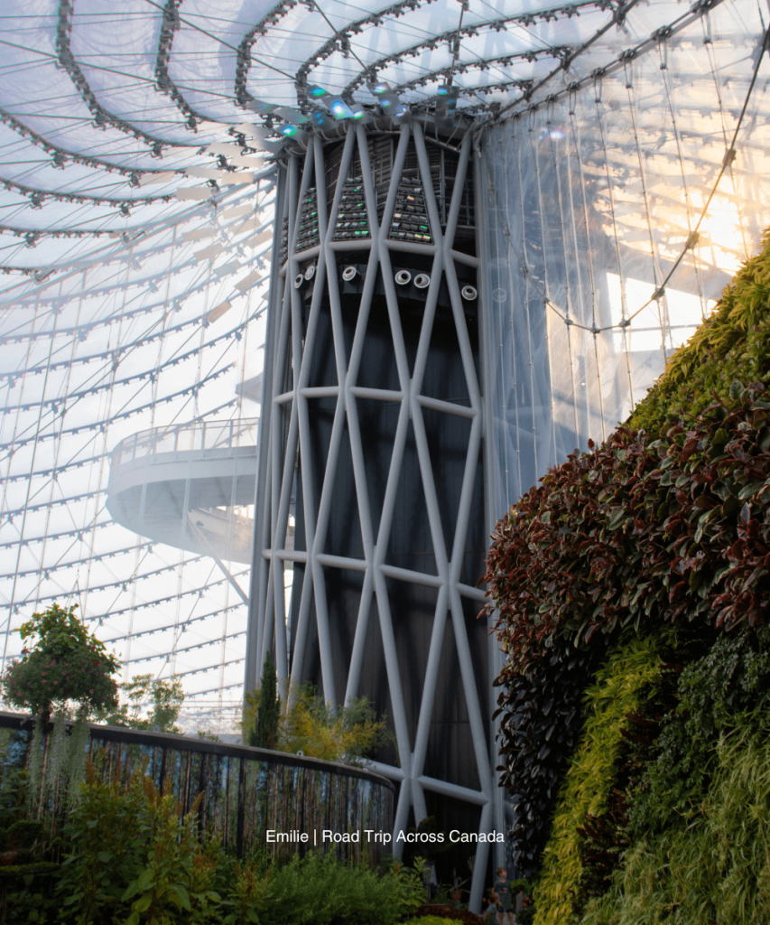 The Leaf is home to Canada’s tallest indoor waterfall and it's located right at the Assiniboine Park in Winnipeg