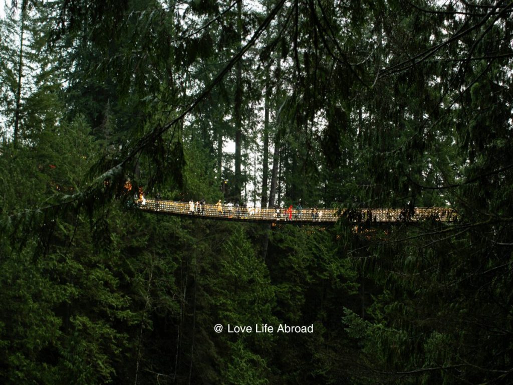 The illuminated suspension bridge at Capilano Suspension Bridge during the Light Canyon event