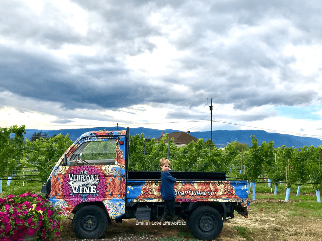 The Vibrant Wine, a family friendly winery in Kelowna in the Okanagan Valley