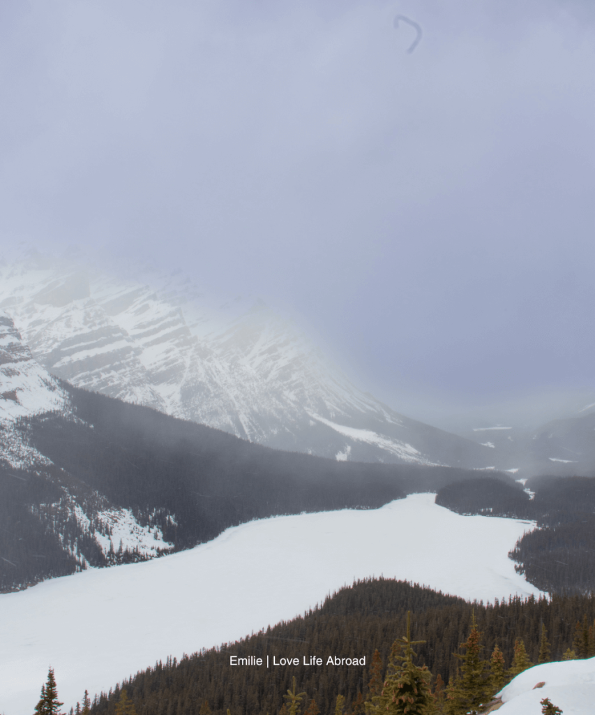 Peyto Lake in the winter