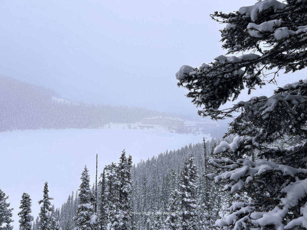 At the top of Fairview Lookout we can see the Lake Louise and Fairmont Chateau Lake Louise