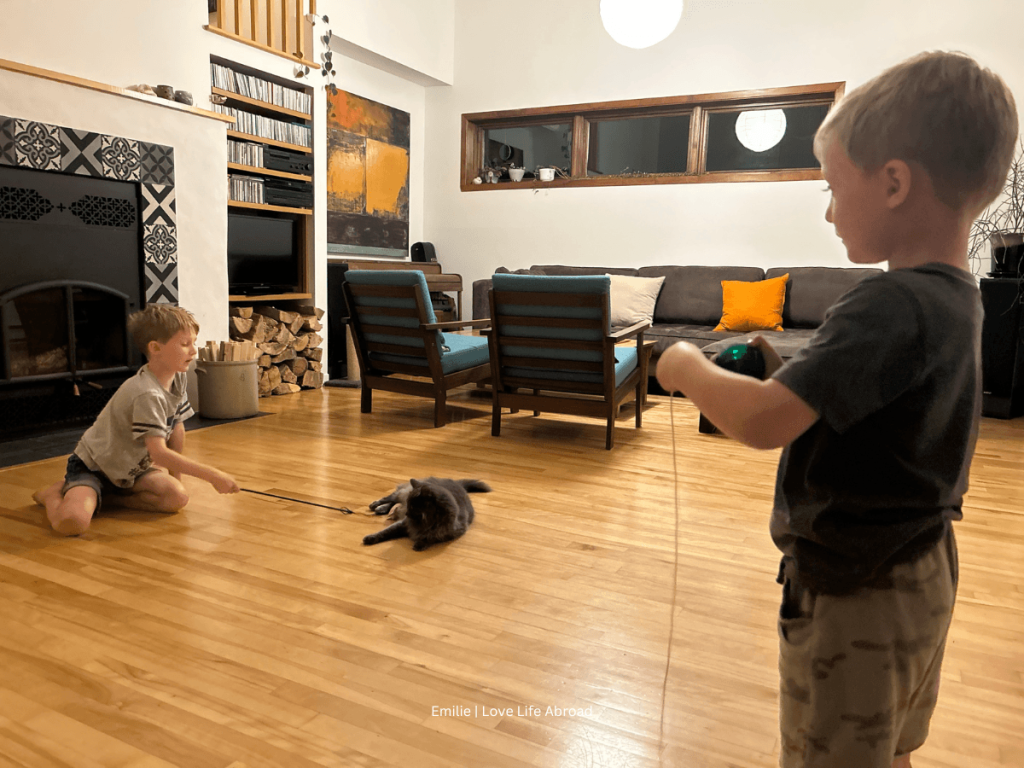 HomeExchange in Stoneham in Quebec where we took care of a cat