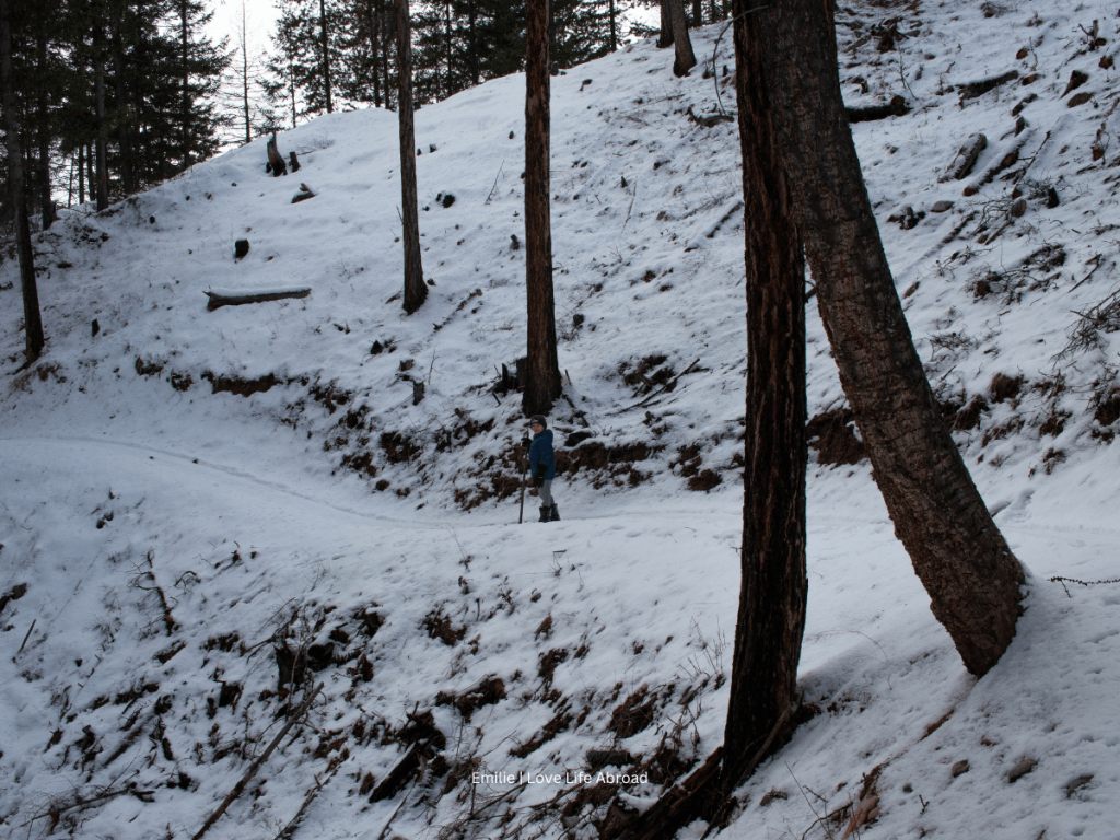 Spring hike at Kimberley Nature Park