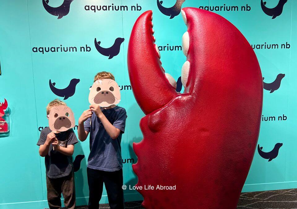 The kids are having fun at the Aquarium of New Brunswick