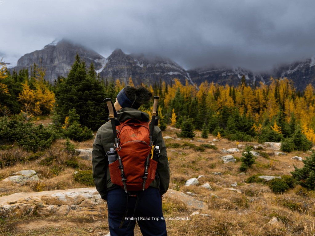In the middle of the meadows on the Larch Valley Trail at Moraine Lake