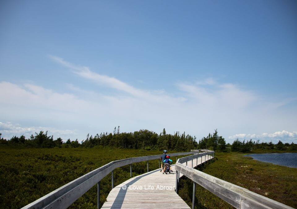 The kids enjoyed a bike ride on the Peat Bog Boardwalk on Miscou Island