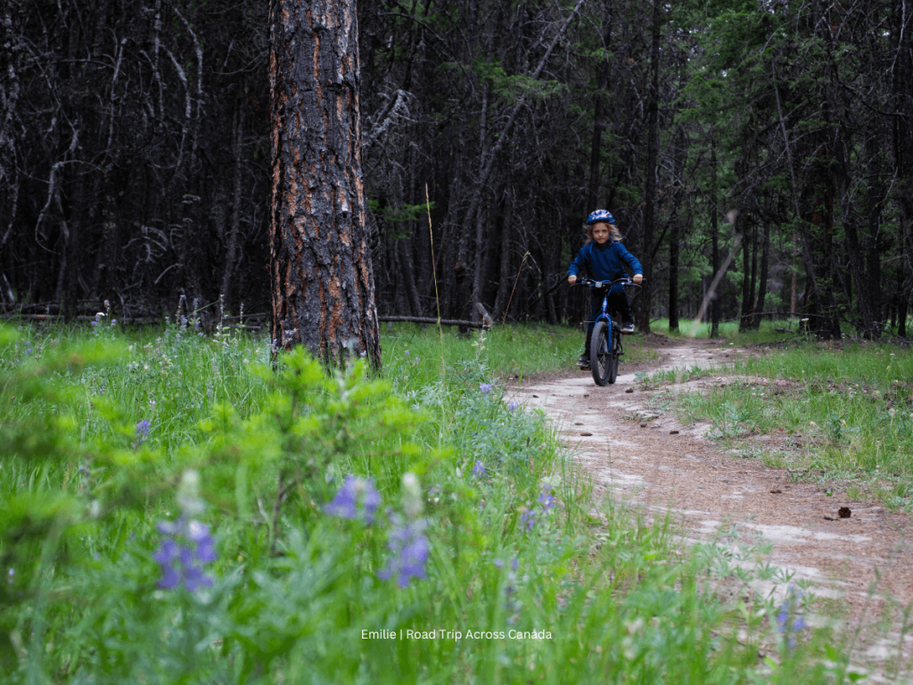 Riding down the Elephant Run at Cranbrook Community Forest
