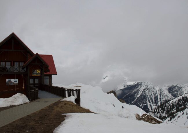 At the top of the Kicking Horse mountain We used the scenic gondola to the top