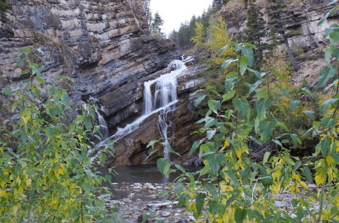 Cameron Falls Lookout in Waterton