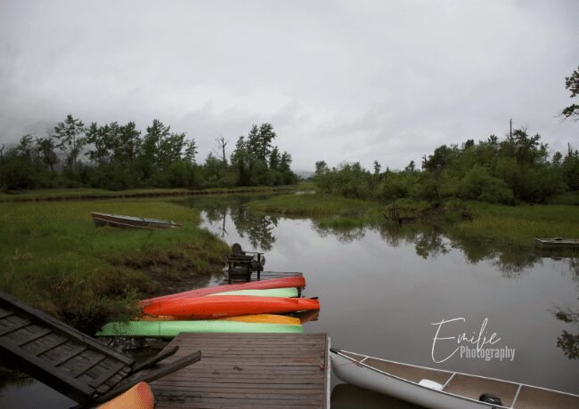 Columbia Outpost Wetlands