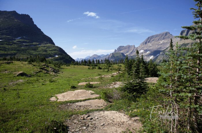 Glacier National Park view at Logan pass