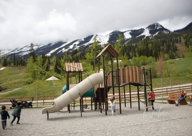 Golden BC Playground
