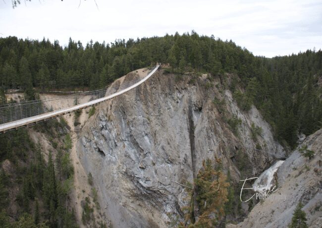 Golden BC Suspension Bridge Canyon