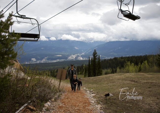 Grizzly Bear Refuge in Golden, BC