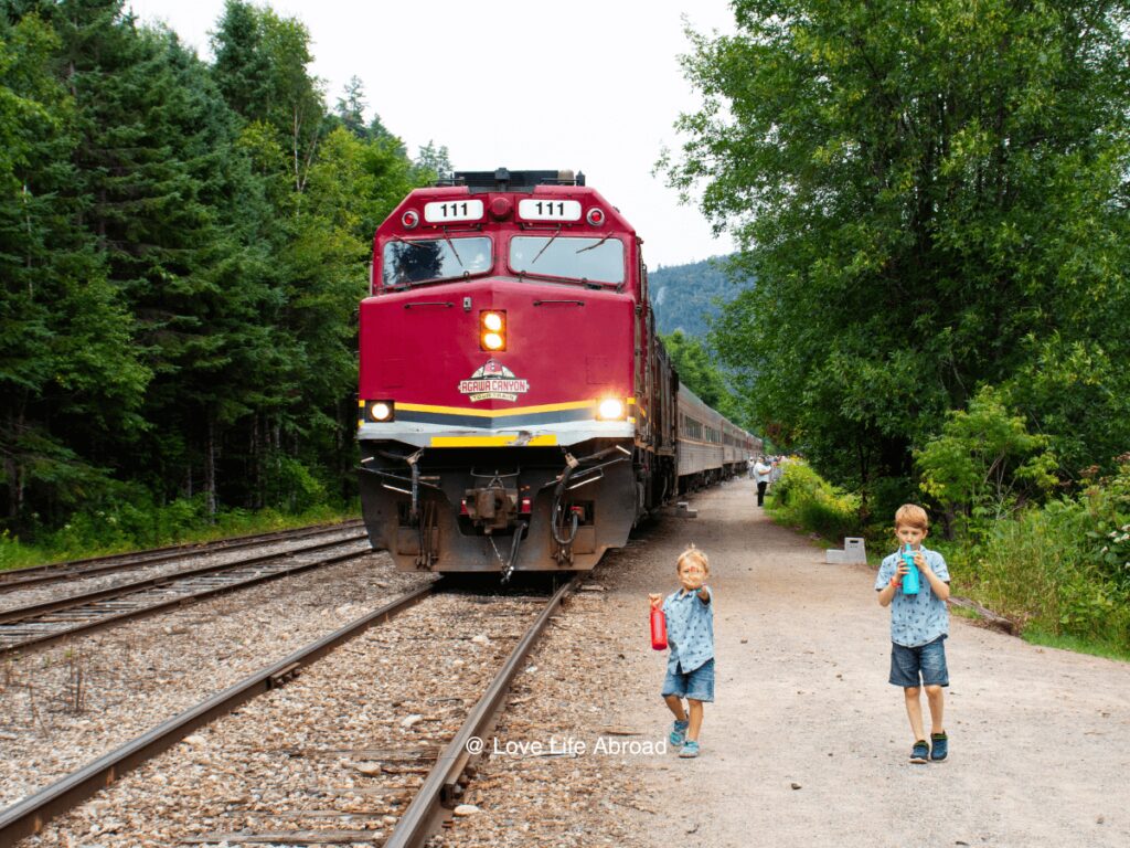 We took a full day train excursion to Agawa Canyon Park It was a long day but it was pretty cool to see it