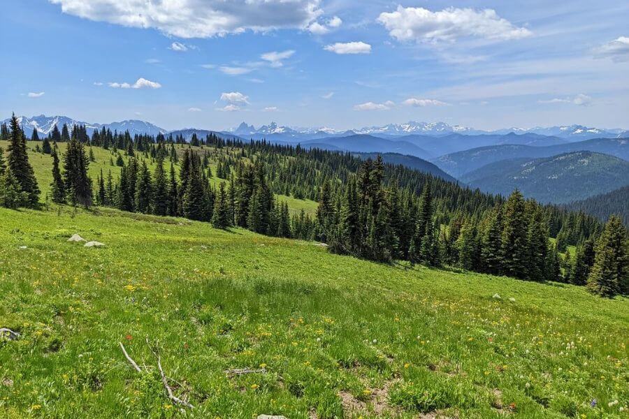 Weekend trip to EC Manning Provincial Park Photo courtesy of Bea from In Love With BC