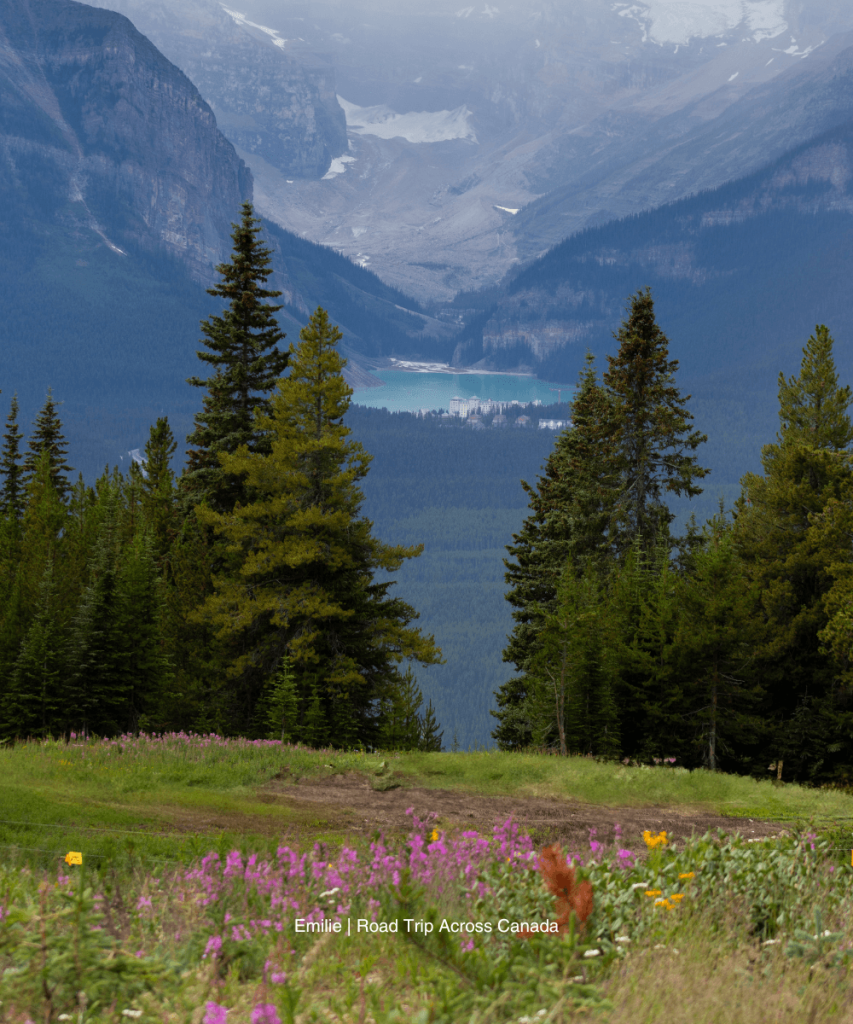 View of the iconic Lake Louise from the gondola