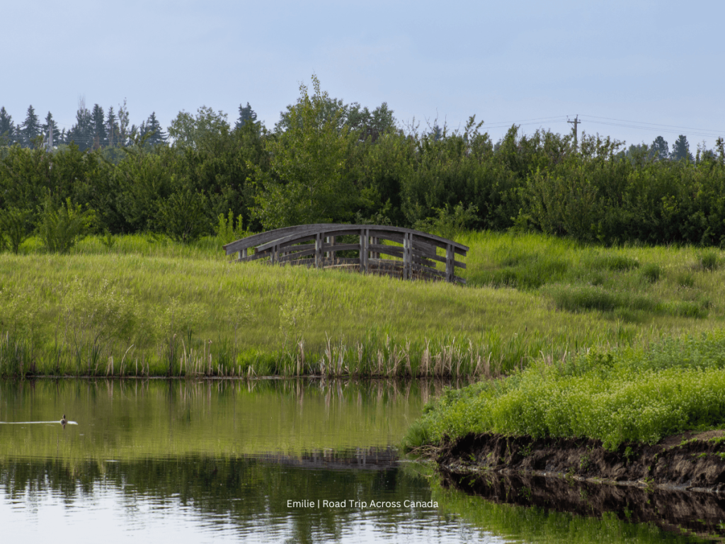 Walking around West Stettler Park in the heart of the town