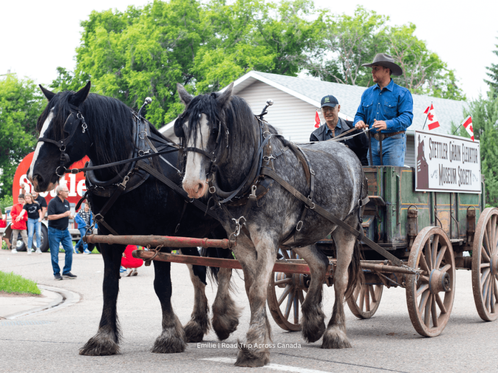 We visited Stettler during the Canada Day Parade