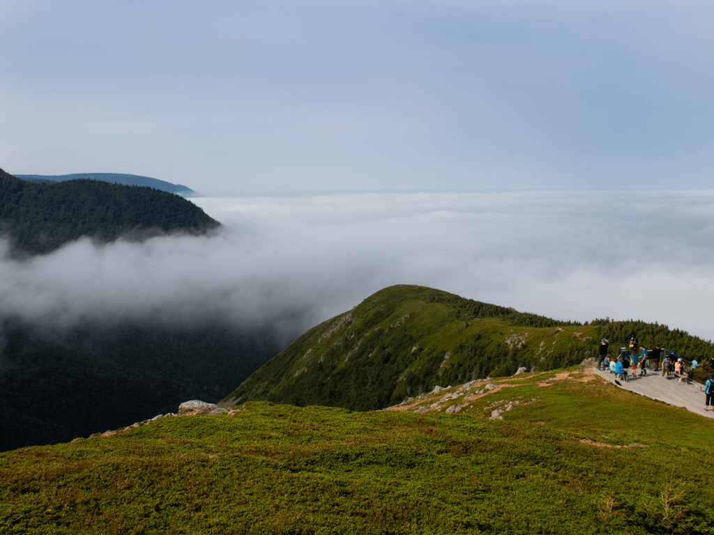 We had a cloud inversion at Skyline Trail so we couldn't see the water below