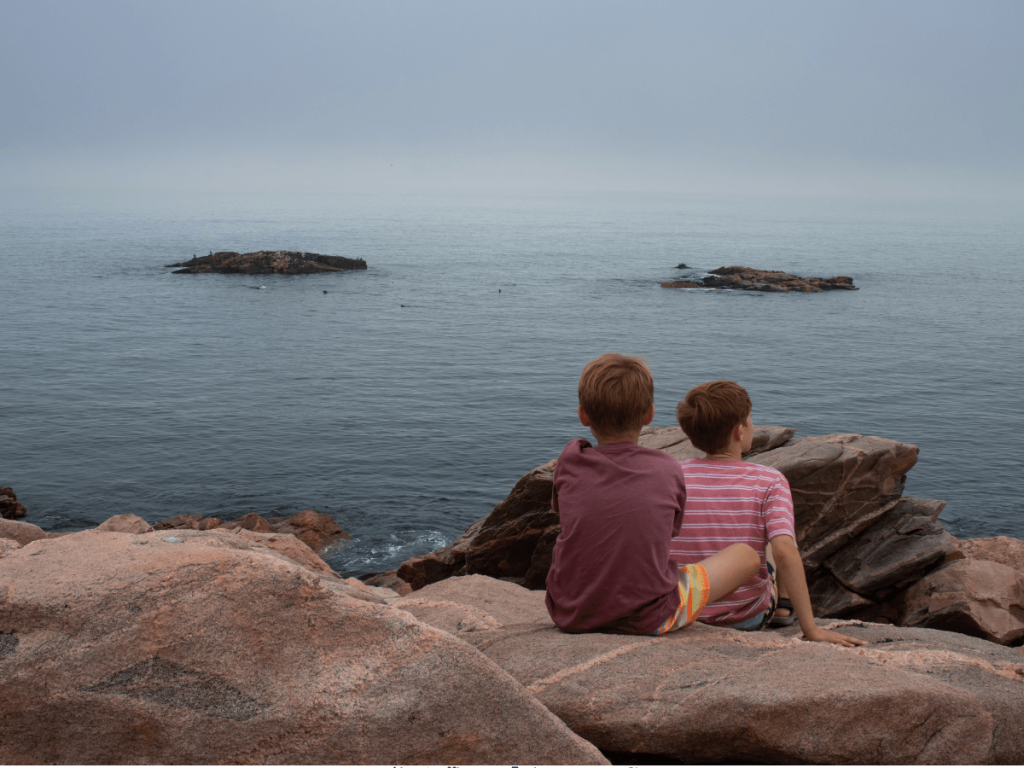 Green Cove on the Cabot Trail is one of the best places to see seal
