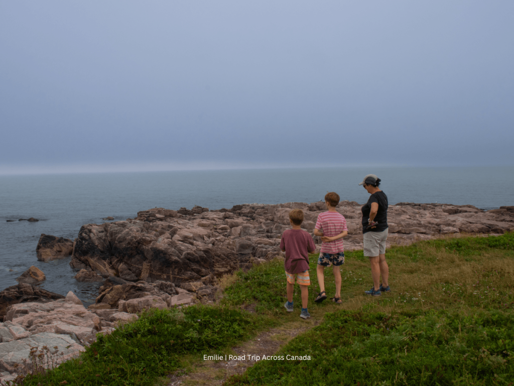 It's at Neil's Harbour on the Cabot Trail that we saw our first seal.