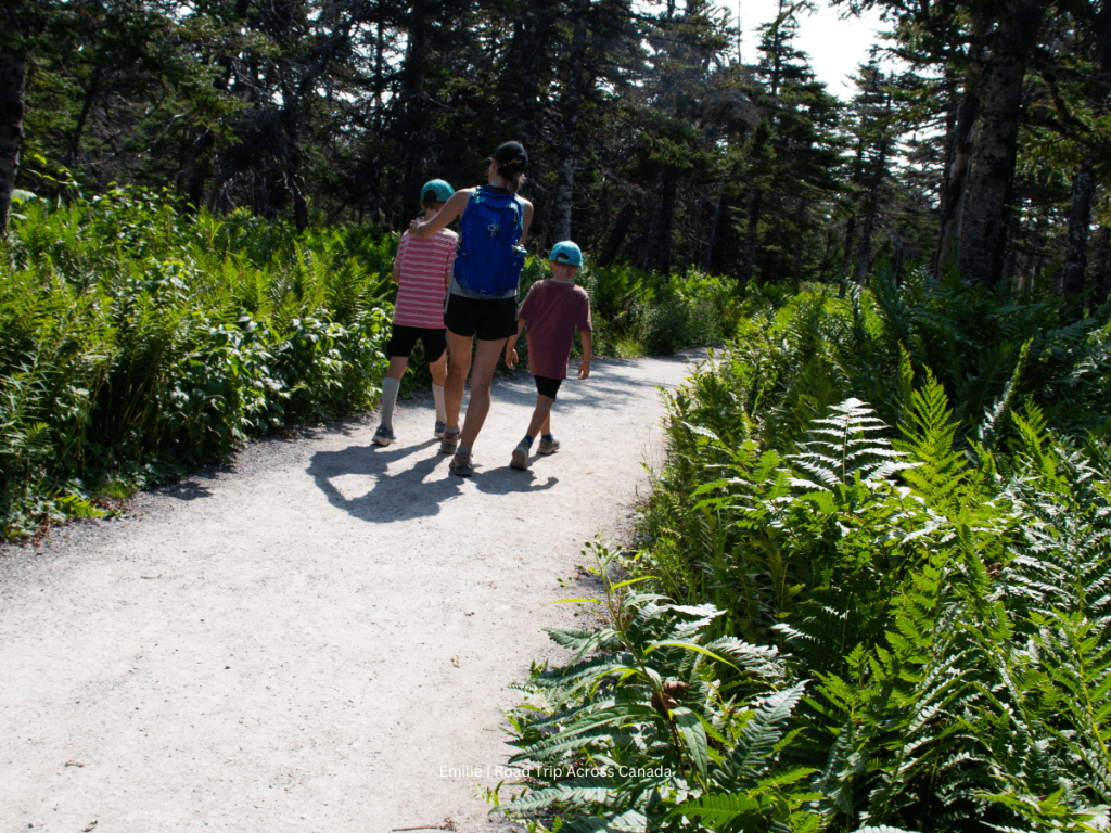 The kids made it to the end of the Skyline Trail without too much complaint