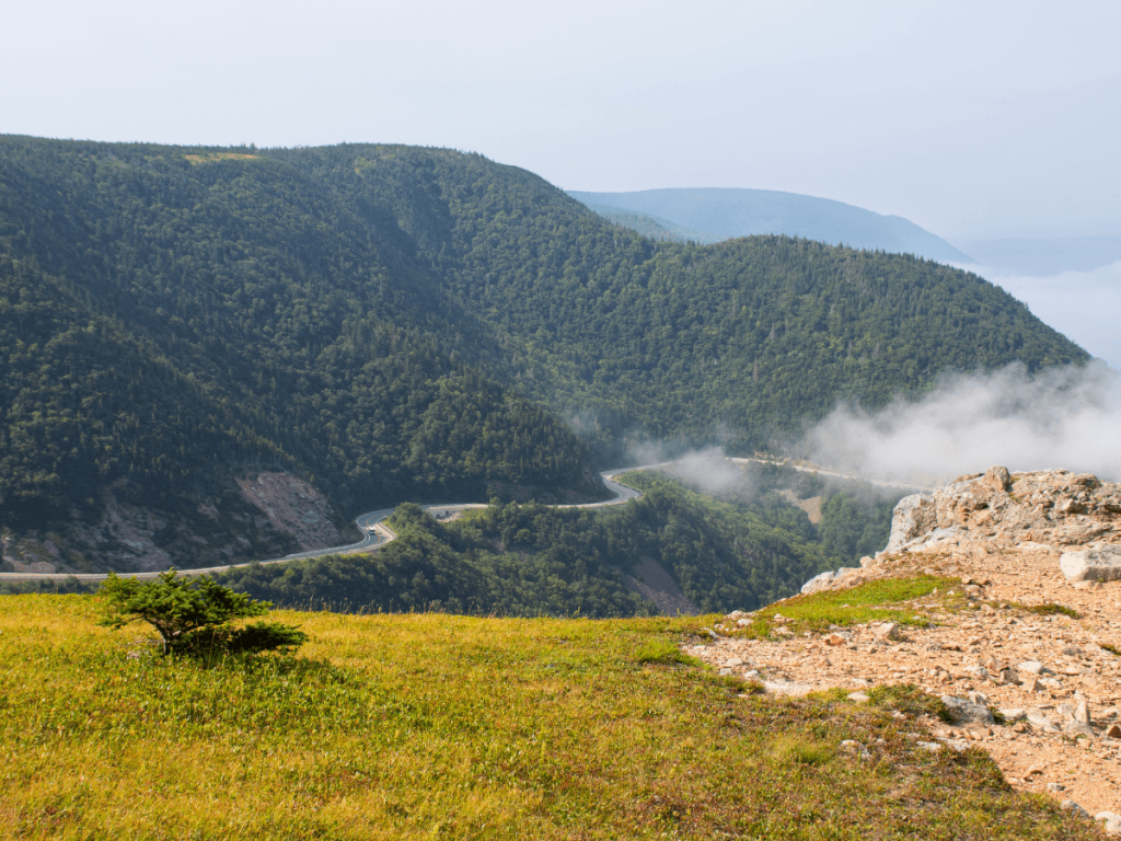 View of the Cabot Trail on the Skyline Trail
